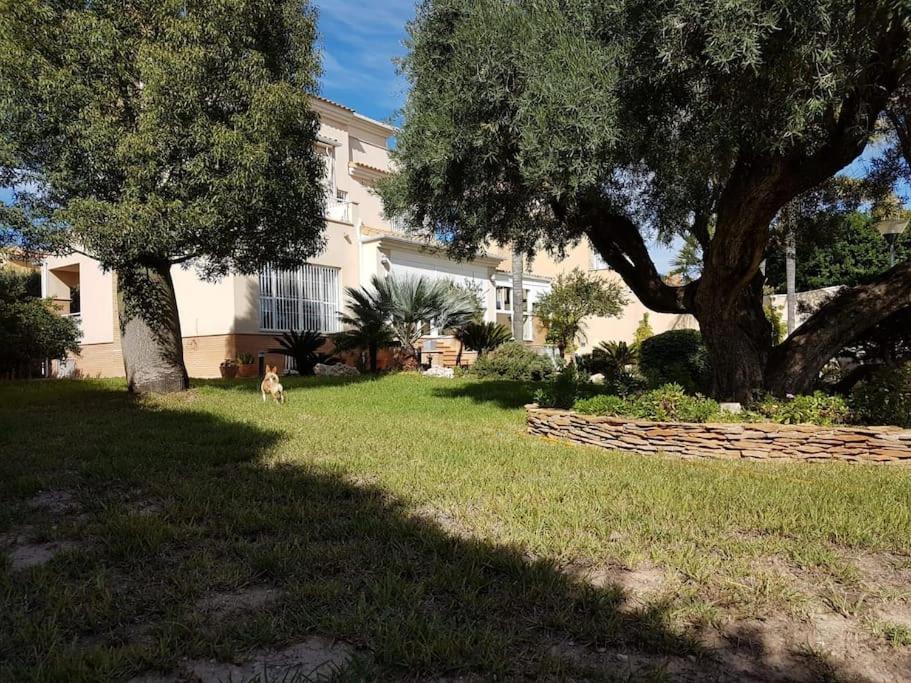 מורסיה Chalet & Piscina-Jardin-Barbacoa מראה חיצוני תמונה