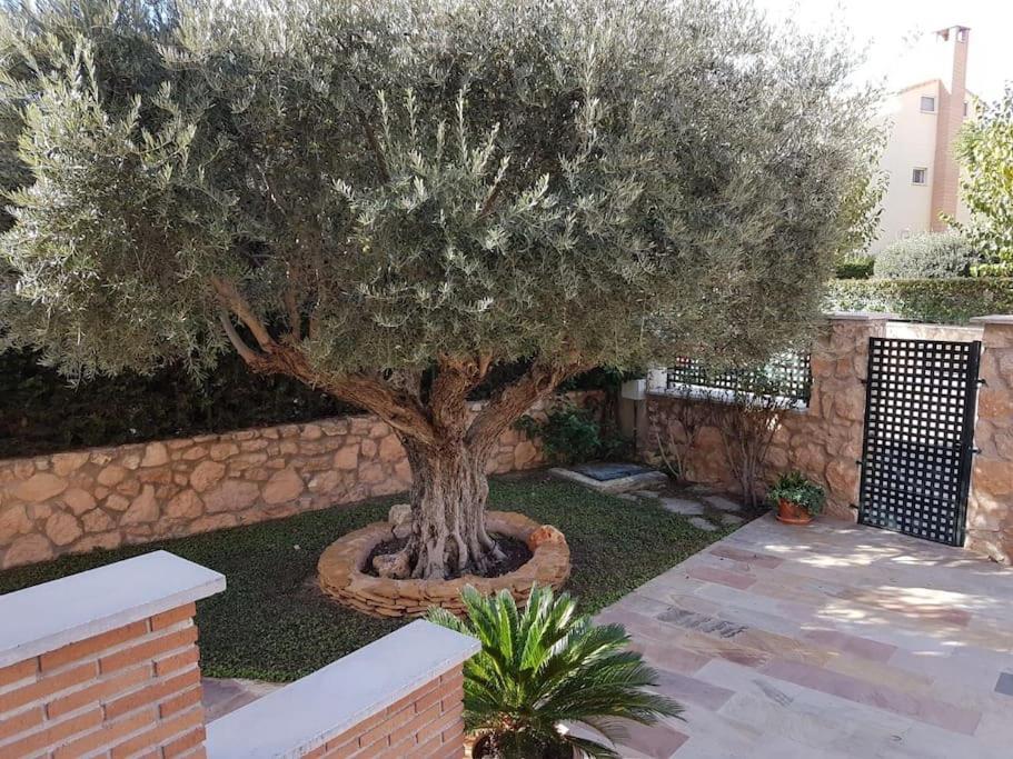 מורסיה Chalet & Piscina-Jardin-Barbacoa מראה חיצוני תמונה